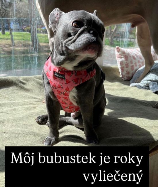 Obrázok 38